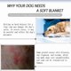 thumbnail image 2 of Dog Blanket, Fluffy Plush Blanket for Dogs and Cats, Soft and Warm Pet Blanket for Small Medium Large Dogs and Cats Gray 127x100cm, 2 of 5