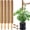 4 pack 18in, variant on 2 Pack 17 Inch Moss Pole, Stackable Moss Poles for Climbing Plants Monstera, Tall Plant Sticks Accessories, Large Coir Plant Support Stakes for Potted Plants Indoor, Pothos, Philodendron