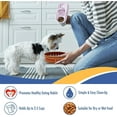 thumbnail image 4 of Pets First NCAA Syracuse Orange Super-Bowl Slow Feeder Bowl for Dogs and Cats with Non-Slip Mat, 4 of 7