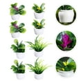 thumbnail image 4 of Planta bonsái en miniatura para casa de muñecas, diseño de casa de muñecas, decoración de plantas, modelo de planta en maceta de resina, 8 Uds., 4 of 6