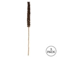 thumbnail image 5 of Vickerman 42-46" Natural Brown Cierus Stem. Includes 3 Stems, Dried, 5 of 5