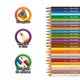 thumbnail image 4 of Barrilito Lápices largos de doble color (12-24) Caja con 12 lápices de 24 colores. 1166LCD multicolor, 4 of 5