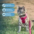 thumbnail image 5 of Voyager Step-In Lock Pet Harness - All Weather Mesh, Adjustable Step In Harness for Cats and Dogs by Best Pet Supplies - Fuchsia, XXS, 5 of 6