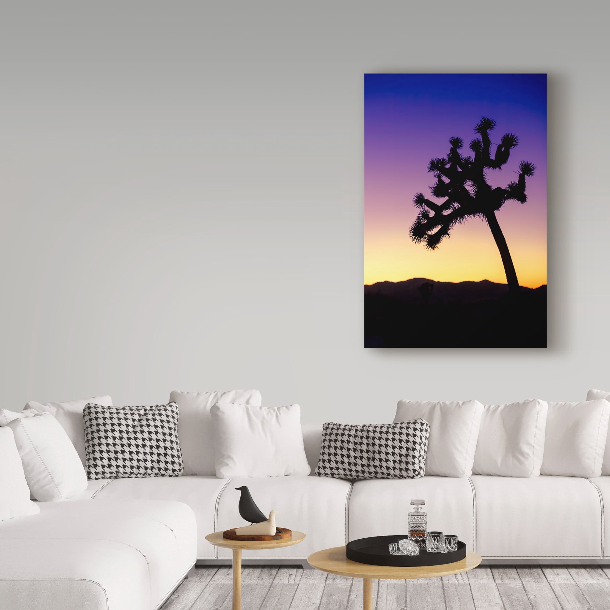 Trademark Fine Art 'Joshua Tree I' Canvas Art by Janice Sullivan