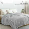 thumbnail image 7 of Exclusivo Mezcla Queen Size Flannel Fleece Blanket, Super Soft Velvet Plush Bed Blanket, 90x90 Inches, Light Grey, 7 of 7