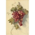 thumbnail image 2 of Edwin Deakin 17x24 Gold Ornate Framed and Double Matted Museum Art Print Titled - Grapes Against White Wall, 2 of 4