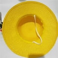 thumbnail image 5 of Luffy Sombrero de Paja Multifuncional Anime Personaje de Dibujos Animados Protector Solar Sombrero de Paja Cosplay Sombrero para el Sol para Adultos, 5 of 5