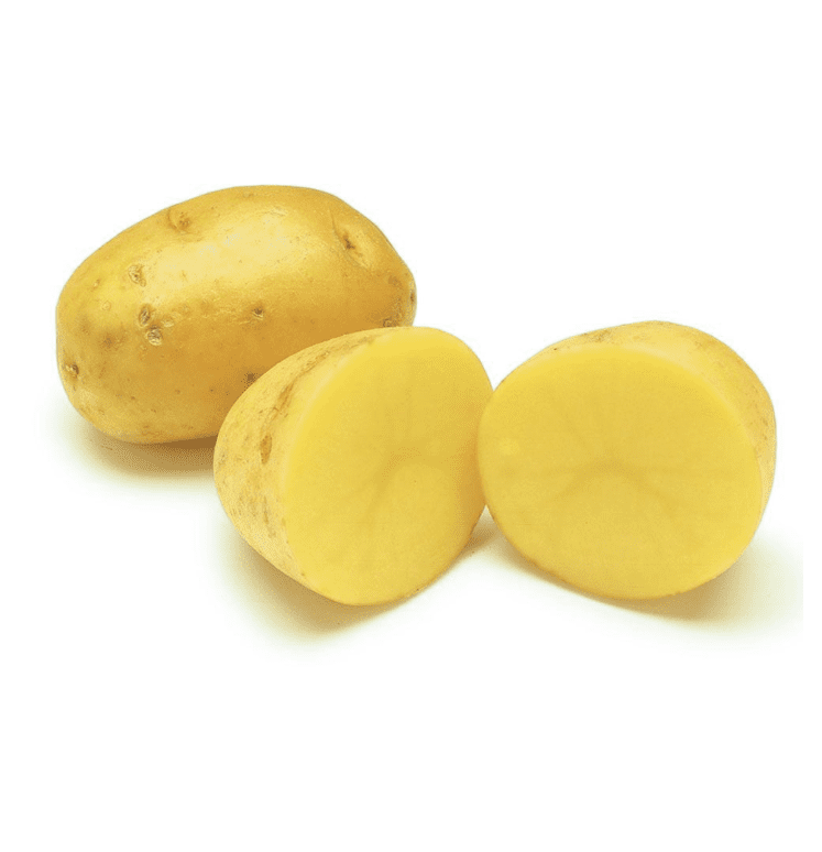 60 TPS True Potato Seeds Gold Yukon Potatoes Seeds Yellow Potato Heirloom Vegetable Seeds for Growing, Tiny Seed