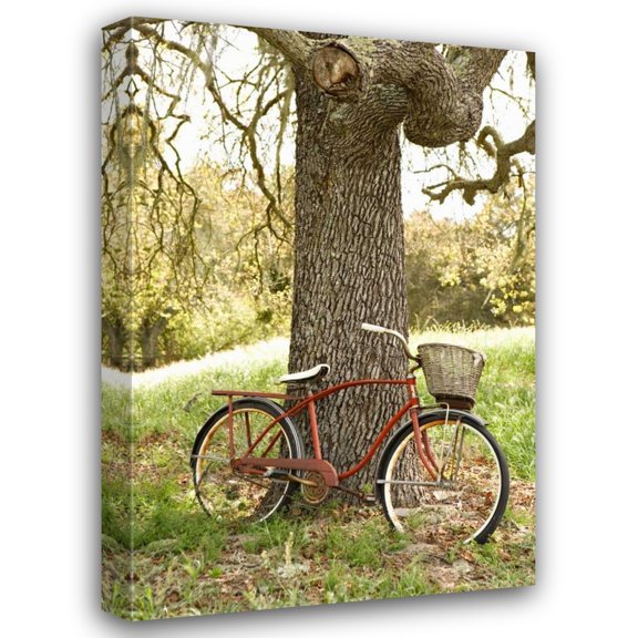 Karyn Millet 13x18 Gallery Wrapped Canvas Wall Art Titled - Go by Bike II