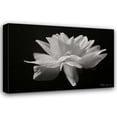 thumbnail image 1 of Vitaly Geyman 18x13 Gallery Wrapped Canvas Wall Art Titled - Out of the Dark, 1 of 4