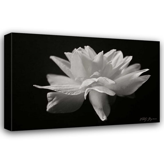 Vitaly Geyman 18x13 Gallery Wrapped Canvas Wall Art Titled - Out of the Dark