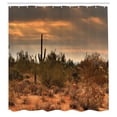 thumbnail image 3 of Ambesonne Landscape Shower Curtain, Dramatic Shady Desert, 69"Wx84"L, Orange Green, 3 of 5