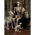 thumbnail image 2 of Spike the Skeleton Dog Halloween Decoration, 2 of 2