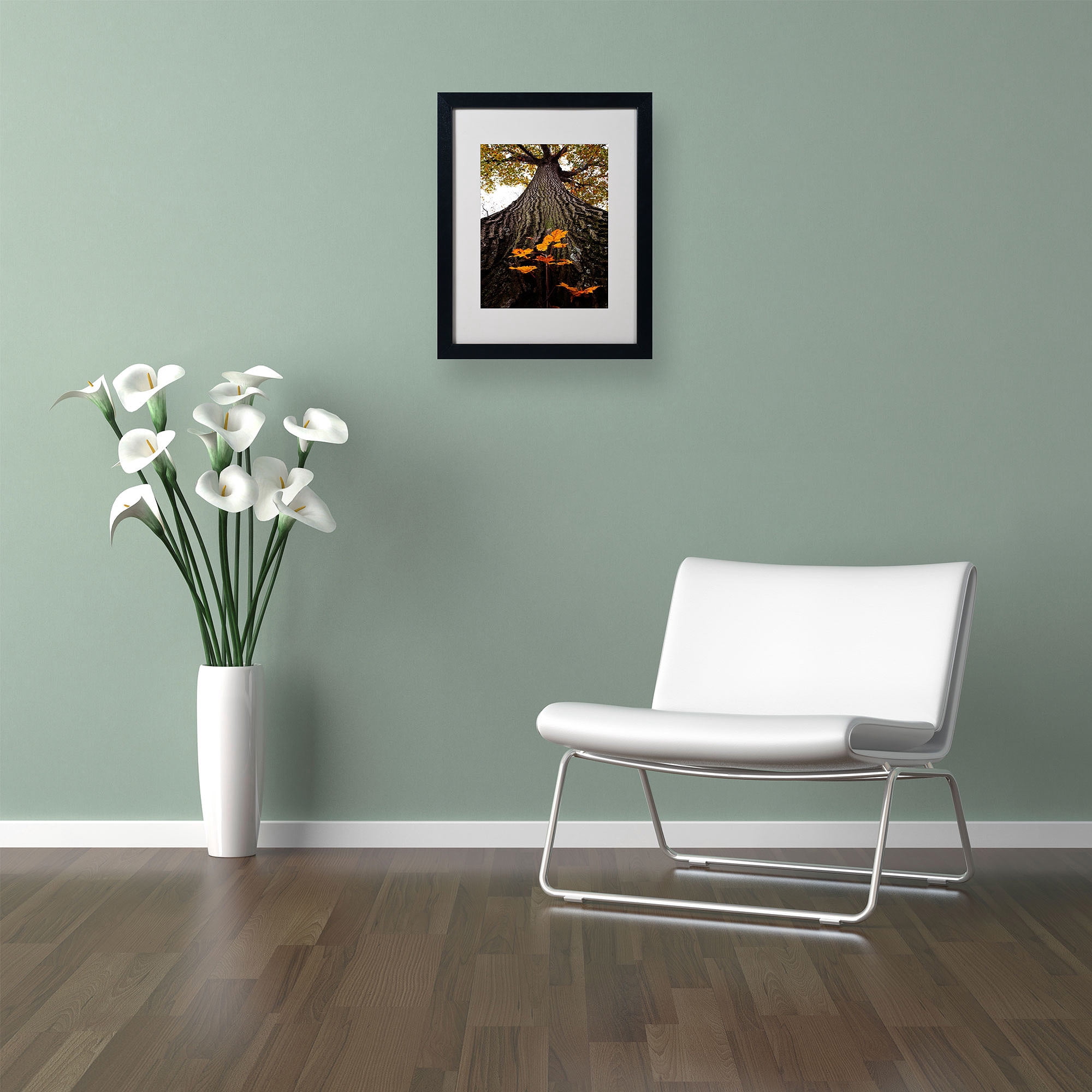 Trademark Fine Art "Mighty Maple and Sapling" by Kurt Shaffer, Black Frame
