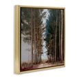 thumbnail image 2 of Stupell Industries Modern Tall Trees Pathway Gold Floating Frame Canvas Art, 25 x 25, by Kim Curinga, 2 of 8