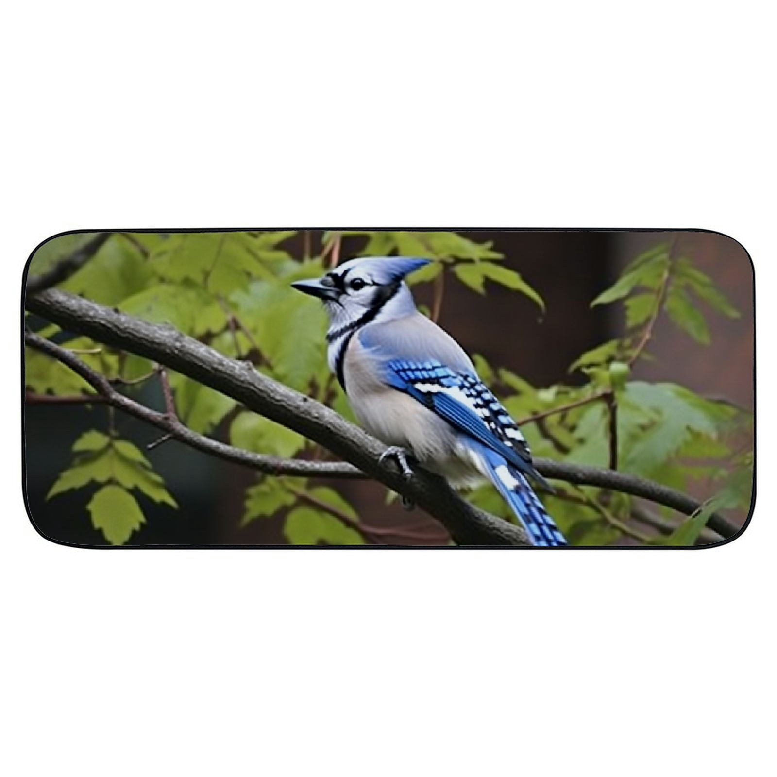 Qinduosi Decorative Door Mat, Door Mat with Non-Slip Rubber Backing, Easy Cleaning, Traps Dirt, for Entry, Patio, Garage 19.68*47.24 in