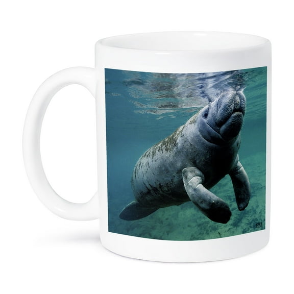 3dRose, West Indian Manatee Trichechus manatus Florida USA, 15oz Mug