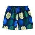 thumbnail image 4 of Kkkded Kids Boys Girls Shorts 2-8Y Baby Toddler Summer Print Short Pants Little Boys Girls Athletic Shorts Elastic Casual Drawstring Shorts Pants, 4 of 7