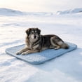 thumbnail image 2 of Leodye 1PCS Anti-slip Pet Cool Sleeping Pad Reusable Washable Cooling Bed for Puppies Kittens Indoor Sofa Crate Hot Weather Cooling Cushion -39.37x27.56in, 2 of 6