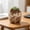C, variant on Cute Owl Ceramic Succulent Planter, Small Animal Flower Pot for Indoor Plants & Home Decor