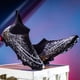 thumbnail image 5 of Botas de fútbol profesionales antideslizantes para hombre y mujer, zapatillas deportivas de entrenamiento al aire libre de alta calidad, FG/TF, nuevas, 5 of 5