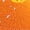 Orange, variant on Bovemsi Women Casual Calf Socks Fuzzy Pumpkin Bat Long Cotton Socks Halloween Fall Black Running Socks Womens