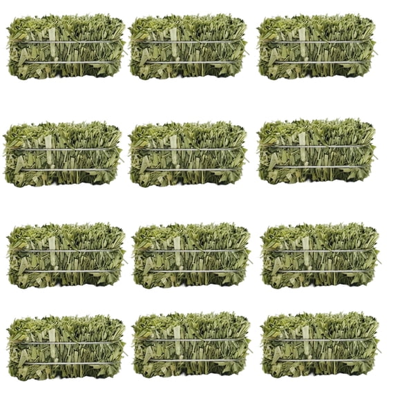 12 Pack Mini Hay Bales – Small Straw Bale Decor, Rustic Fall Harvest Thanksgiving Ornaments for DIY Crafts, Dollhouse & Farmhouse Display(1x1.25x2.5")