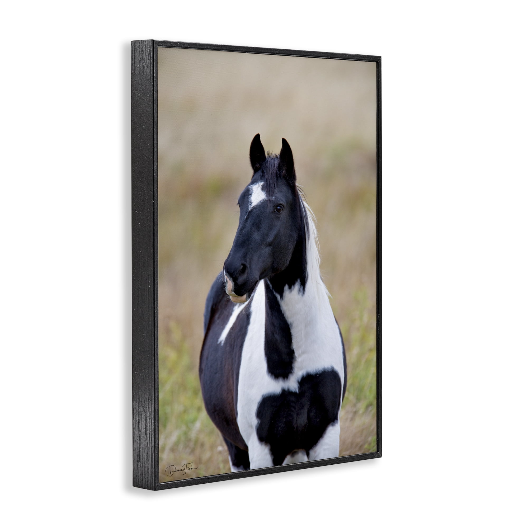 Stupell Industries Black & White Foal Animals & Insects Photography Black Framed Art Print Wall Art, 16 x 24