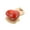 Red, variant on PlanToys Fish Castanet
