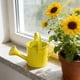 thumbnail image 4 of CaiYueKe Mini Watering Can Small Metal Tin Indoor Outdoor Plant Sprinkler Creative Household Gardening Pot Watering Tool for Potted Plants Herbs Flowers Vegetables, 4 of 7