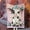 Multicolor1, variant on HELLOYOUNG Soft Funny Cartoon Cow Print Flannel Throw Blanket Cow Images in Various Colors and Styles Bed Blankets Cozy Warm Lightweight for Couch Bed Travel Home Office Decor