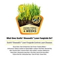 thumbnail image 7 of DiseaseEx Lawn Fungicide, Controls and Prevents Disease Up to 4 Weeks, Treats Up to 5,000 sq. ft., 10 lbs. (2-Pack), 7 of 7