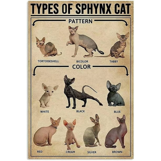 Vintage Metal Signs Wall Decal Types Of Sphynx Cat Knowledge Aluminum