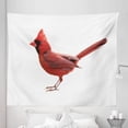 thumbnail image 1 of Cardinal Tapestry, Animal Beak Bird Fauna Feathers Nature Wildlife Songbird Nature Isolated Photo, Fabric Wall Hanging Decor for Bedroom Living Room Dorm, 5 Sizes, White and Ruby, by Ambesonne, 1 of 1