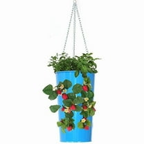 Houston International Trading 7 in. x 12 in. Enameled Galvanized Hanging Strawberry, Floral Planter - Blue