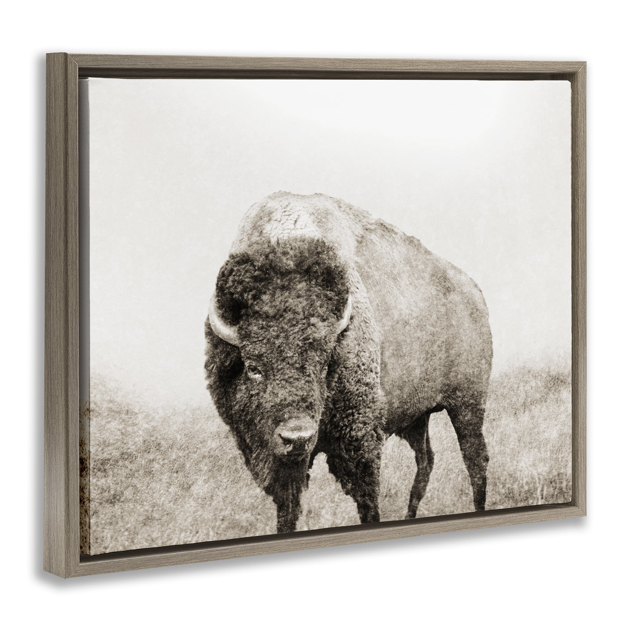 Stupell Industries Bison Distressed Portrait Animals & Insects Photography Brown Floater Framed Canvas Art Print Wall Art, 21 x 17