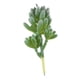 thumbnail image 2 of Adornos de Bricoje Suculentas Artificiales de Moda para Accesorios de Fotografía de Decoración de Jardín en hogar 1pc 9 11cm perfecl Plantas Suculentas de Simulación, 2 of 6