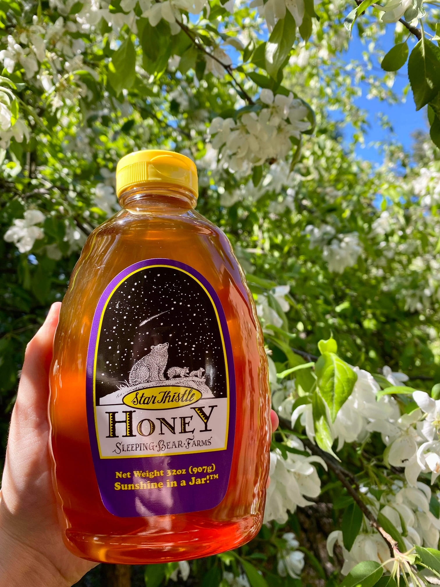 Sleeping Bear Farms Star Thistle Honey 32oz. Bottle