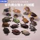 thumbnail image 1 of Simulation animal Trumpet tortoise Mini little sea turtle tortoise model Action Figures Dive Decoration Accessories Figurine ToyN Without base He Qiyong unisex, 1 of 1