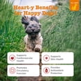 thumbnail image 3 of Zesty Paws Cardio Bites Salmon Flavor Dog Supplement, 90 Count, 3 of 12