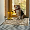 thumbnail image 3 of Lochas Vintage Accent Rugs Distressed Print Area Rug Low Pile Carpet for Living Room Bedroom Home Decor,Beige,2'x3', 3 of 6