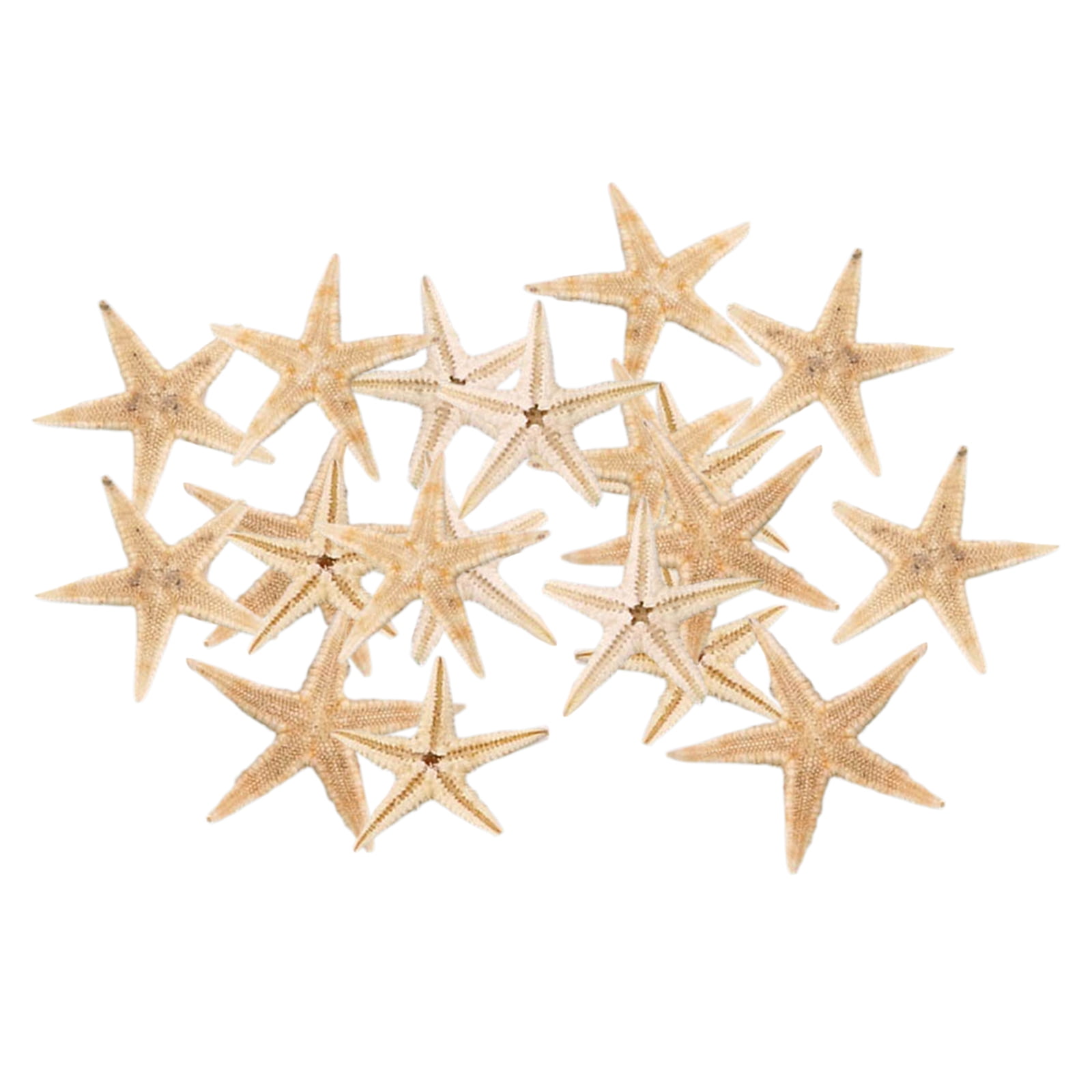 2/10Pc Natural Beach Starfish Sea Star Shell Beach Craft Home Aquarium Decor 4CM 