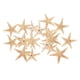 thumbnail image 2 of Conchas de estrella de mar naturales Sunnimix Decoración Artesanal para acuario 3-5cm 20 piezas, 2 of 8