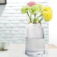 thumbnail image 2 of Glass Vase Flower Display Table Decor Hydroponic Flower Vase decorative Vases Clear 20cm, 2 of 8