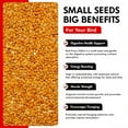 thumbnail image 5 of Morning Bird Red Proso Millet Bird Seeds 18 lbs (2-Pack, 9 lbs Each) – Healthy & Nutritious Pet Bird Food - Bird Seeds for Feather Growth – Perfect for Finches, Parakeets & Other All Pet Birds, 5 of 7