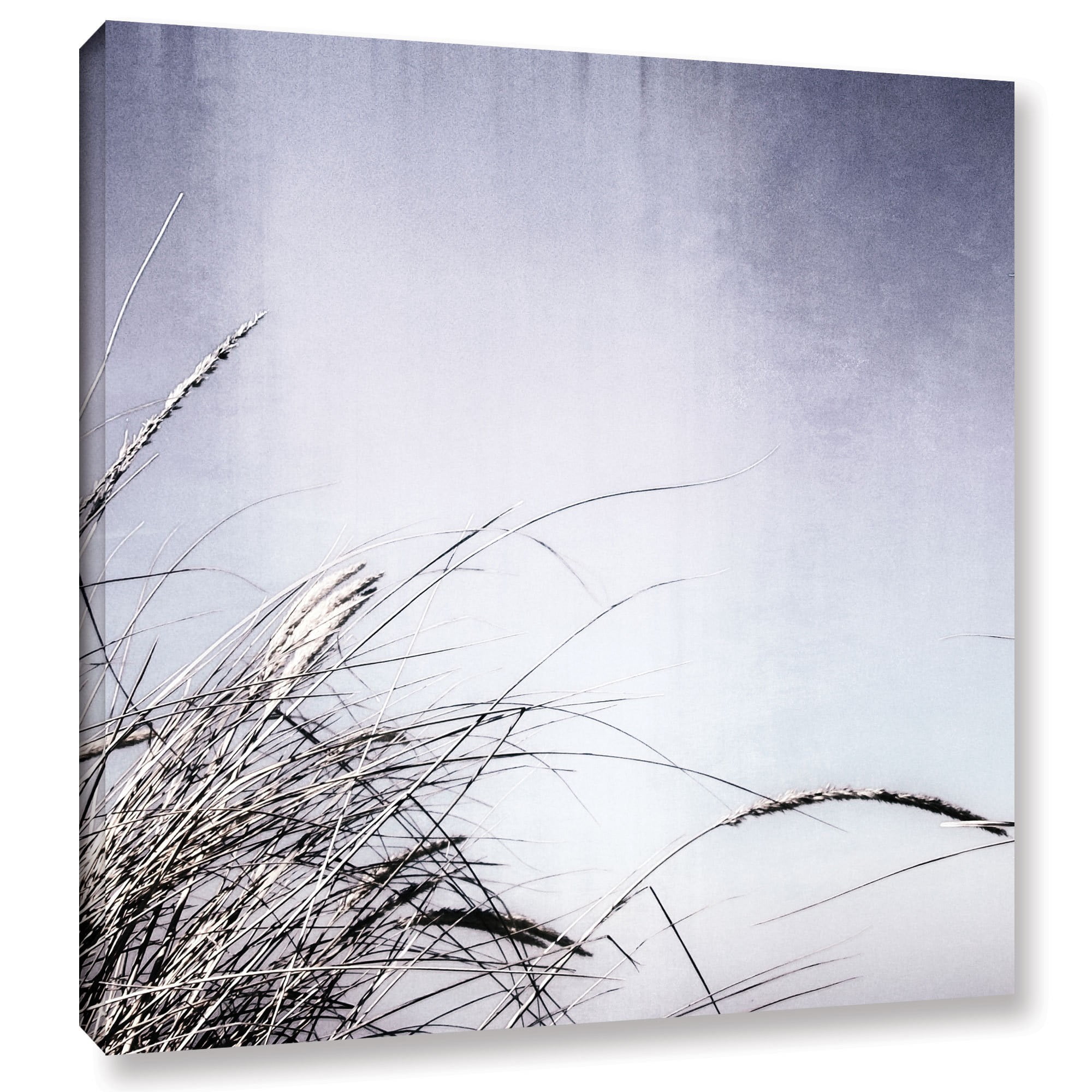 ArtWall Kevin Calkins "Dune Grass Abstract" Gallery-Wrapped Canvas