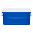 thumbnail image 3 of Igloo Laguna 48 Quart Glacière 45.4 litres, 3 of 5