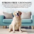 thumbnail image 6 of Natural Dog Shampoo & Conditioner for Itchy and Sensitive Skin (Show Dog), 6 of 8