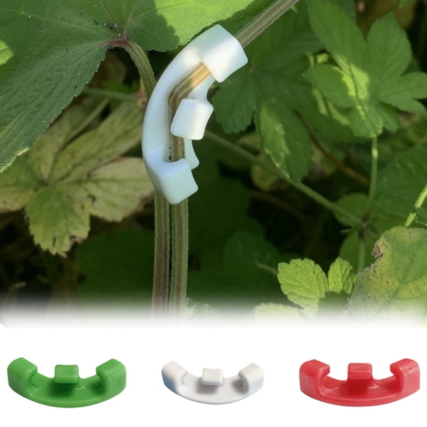 onlyliua ¡ ¡Ofertas Del Día! ¡Liquidación! 90 Plantas de Flexión, 90 Grados, 10 Pies, 10 Pies