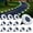 12 PACKS, variant on Solar Ground Lights 4 Pack, Upgraded Solar Garden Lights Waterproof Long Lasting for Pathway Walkway Patio (Cool White)